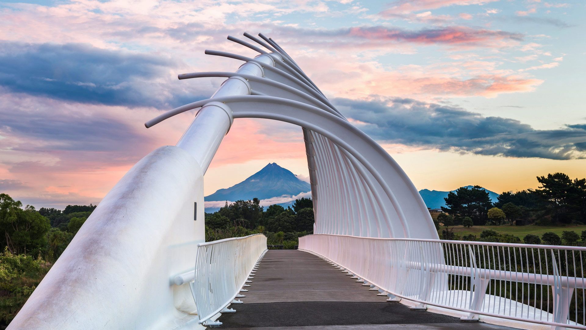 The Happy Pontist: Te Rewa Rewa bridge opens