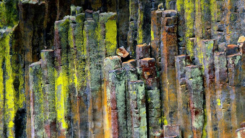 在乌姆普夸国家森林的柱状玄武岩石材，美国俄勒冈州 