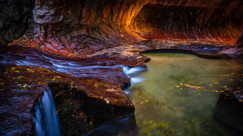 Subway Slot Canyon im Zion-Nationalpark, Utah, USA