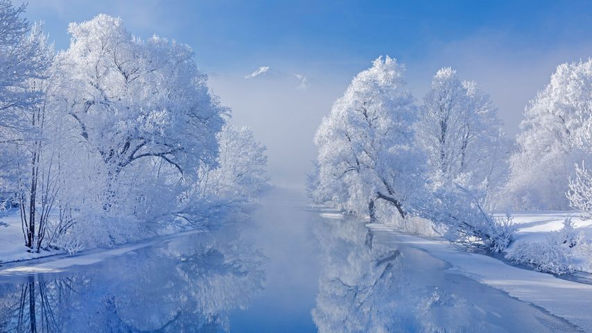 冬日里的科赫尔湖，德国巴伐利亚州