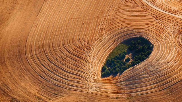 Tierras de cultivo en la región de Palouse, en el estado de Washington