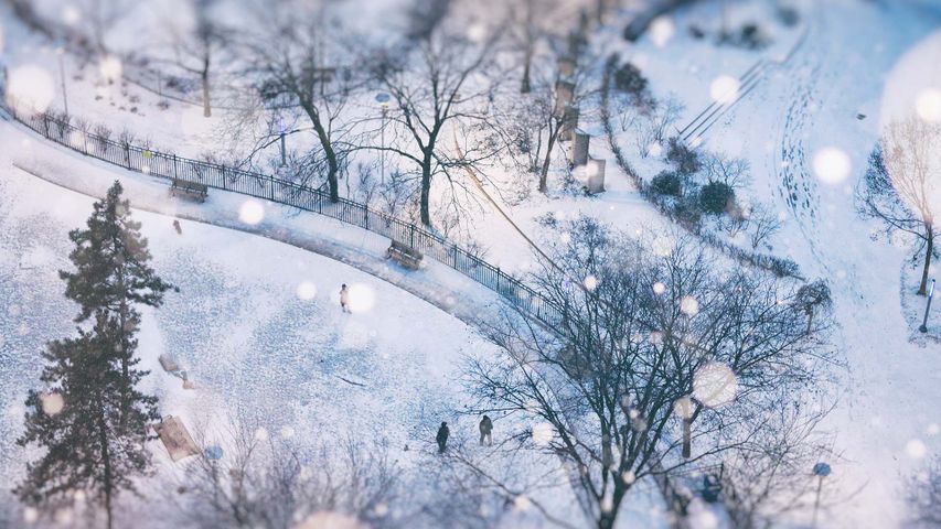 Aerial view of a little park on a snowy day in Toronto