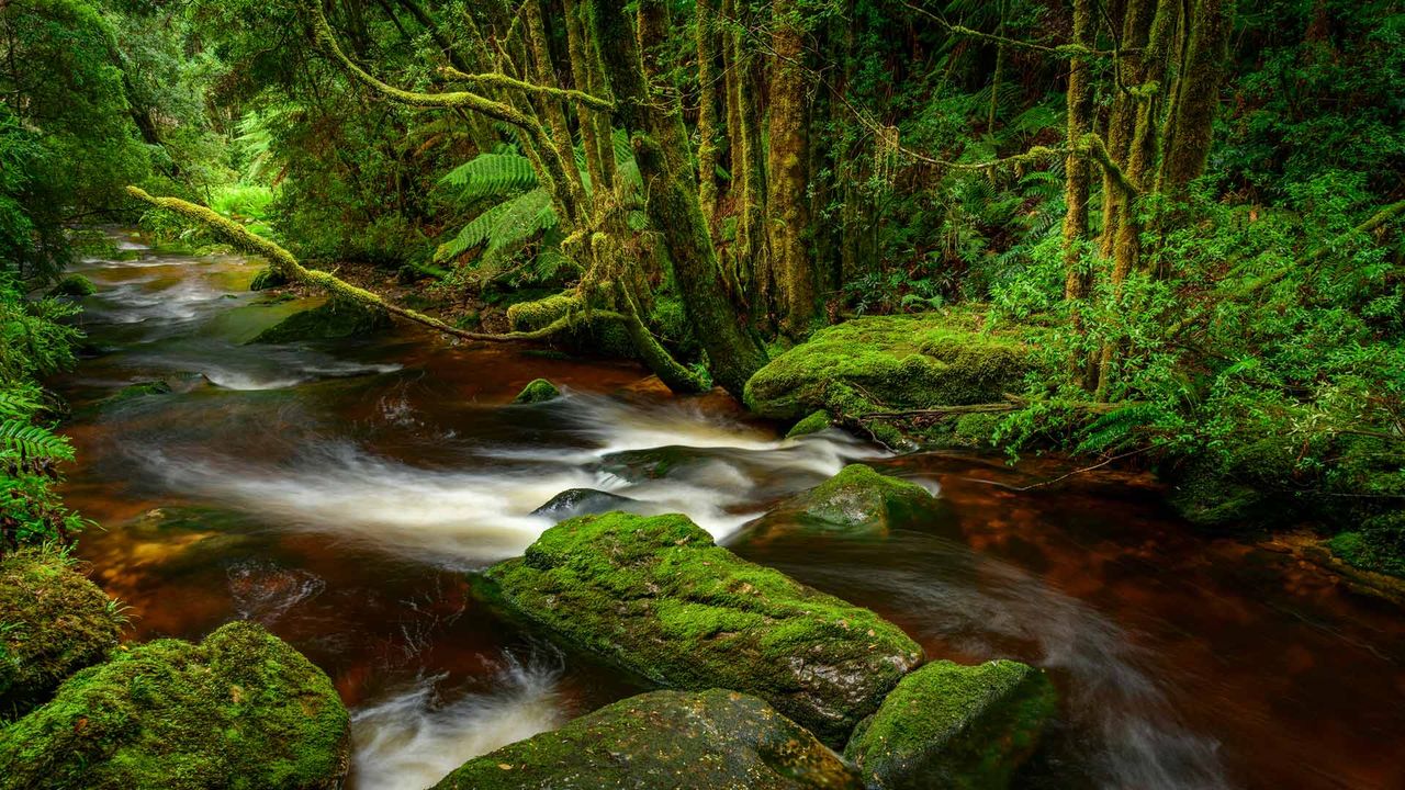 Franklin-Gordon Wild Rivers National Park, Tasmania