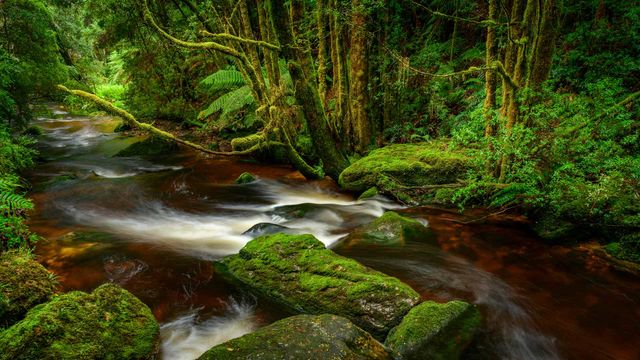 Franklin-Gordon Wild Rivers National Park, Tasmania