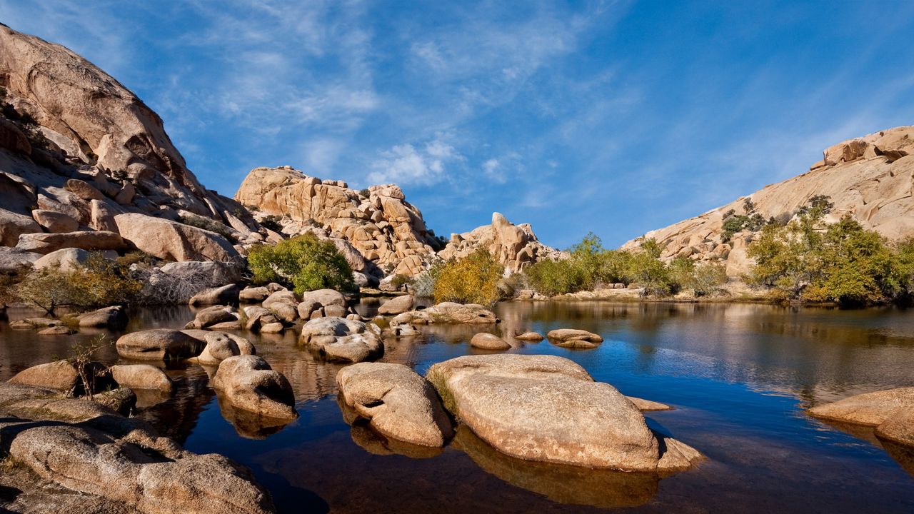 A fleeting oasis