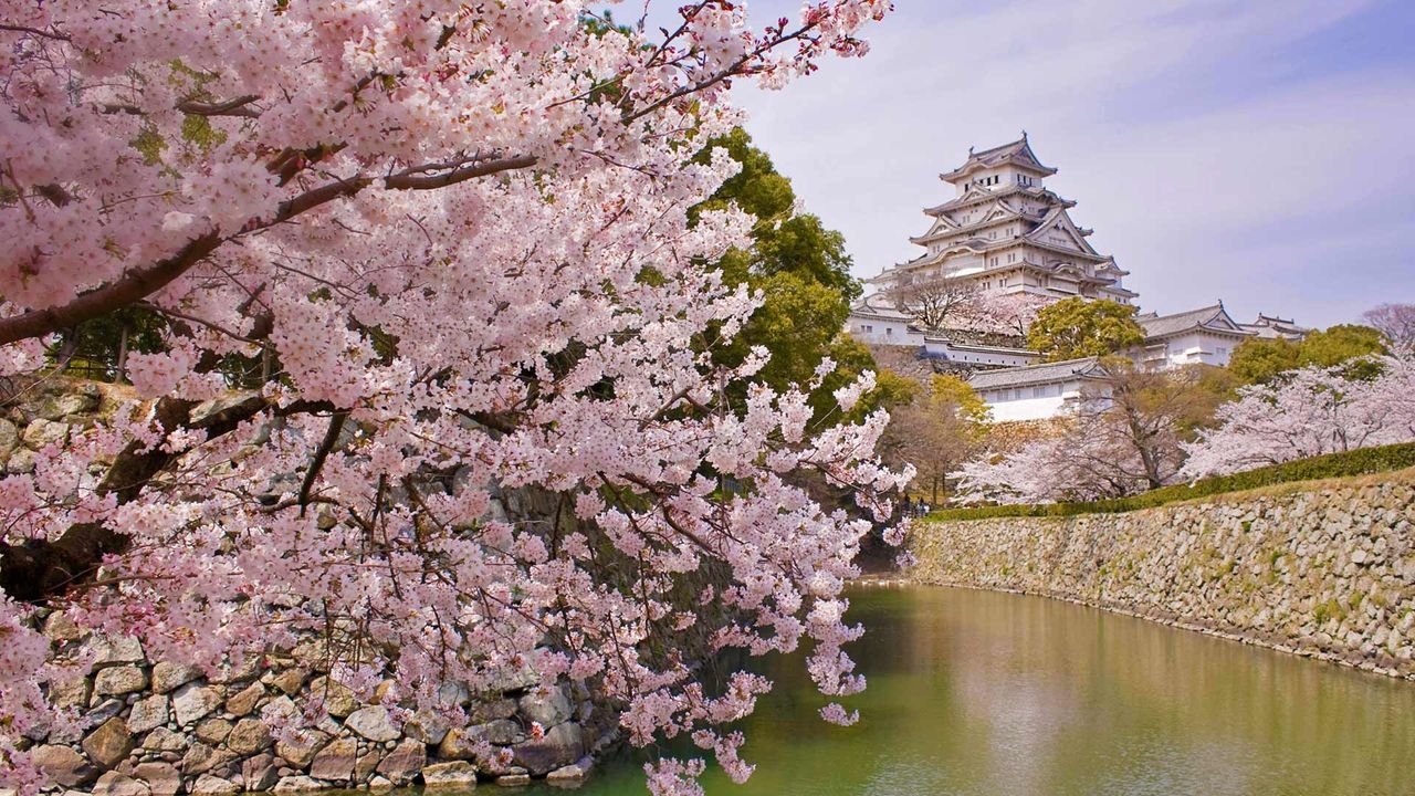 ベトナム 米絵 城 ライスピクチャー 日本画 風景画 姫路城  桜 ベトナム 米絵 城 ライスピクチャー 日本画 風景画 姫路城 桜 絵画
