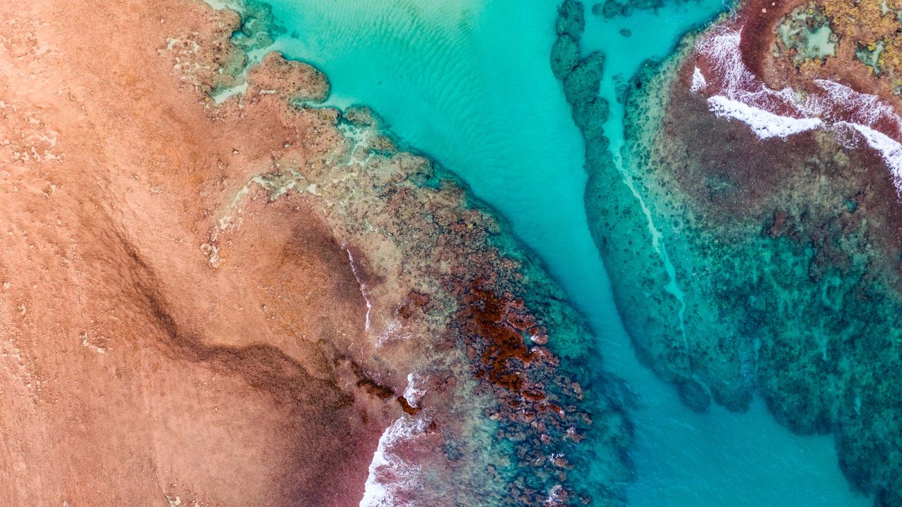 Red Rock Ocean Reef, Kauai