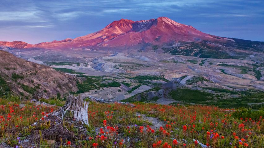 Sendero límite en el Monumento Volcánico Nacional Mount St. Helens, Washington, Estados Unidos