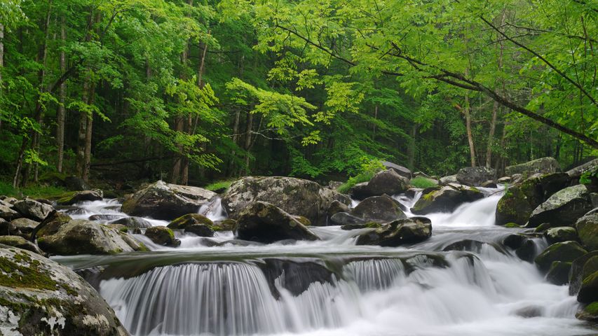 小鸽子河,大雾山国家公园,田纳西州, 美国