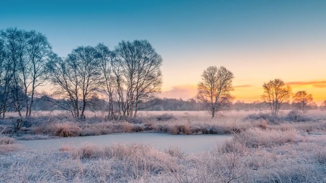 Schneebedecktes Feld bei Sonnenuntergang, Ostfriesland, Niedersachsen