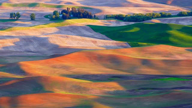 Farmland in the Palouse, Washington
