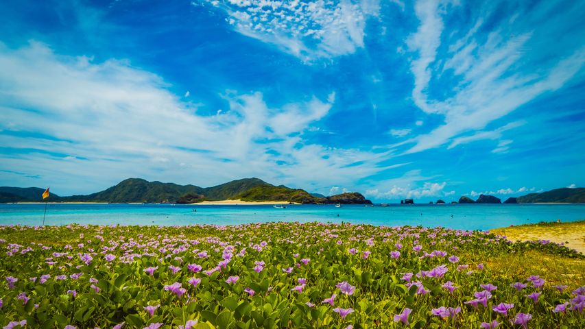 Japanese Islands PREMIUM Windows 10 Theme