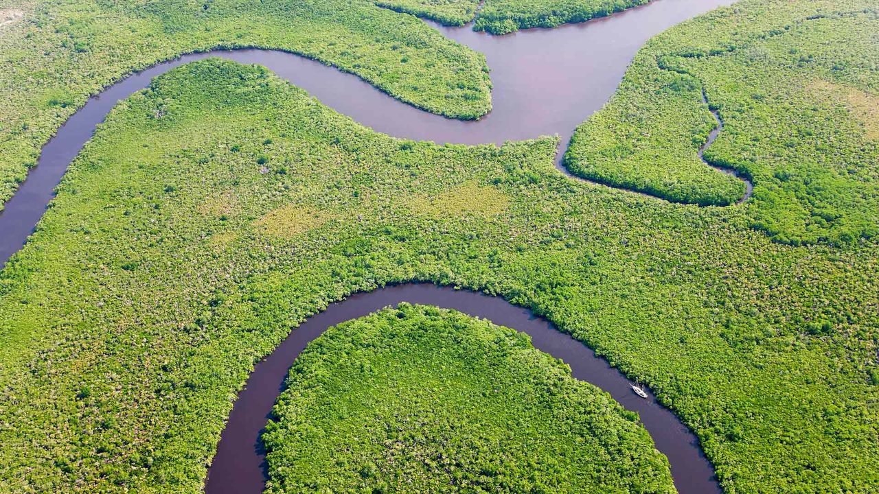 Aerial view of rainforest and Daintree River, Australia