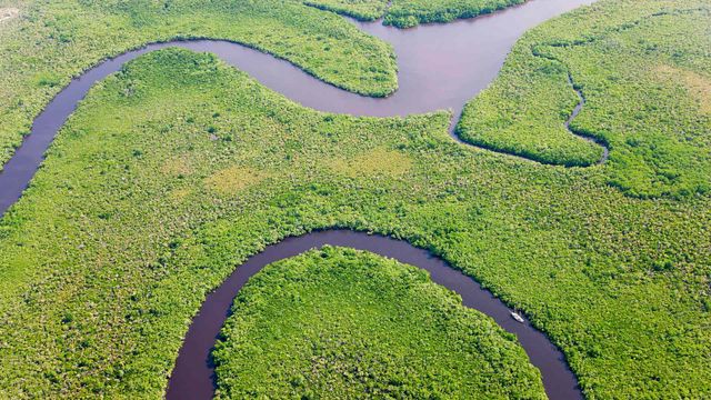 Aerial view of rainforest and Daintree River, Australia
