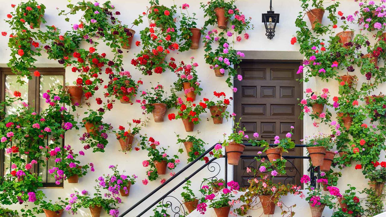 Fiesta de los patios cordobeses, Córdoba, Andalucía, España