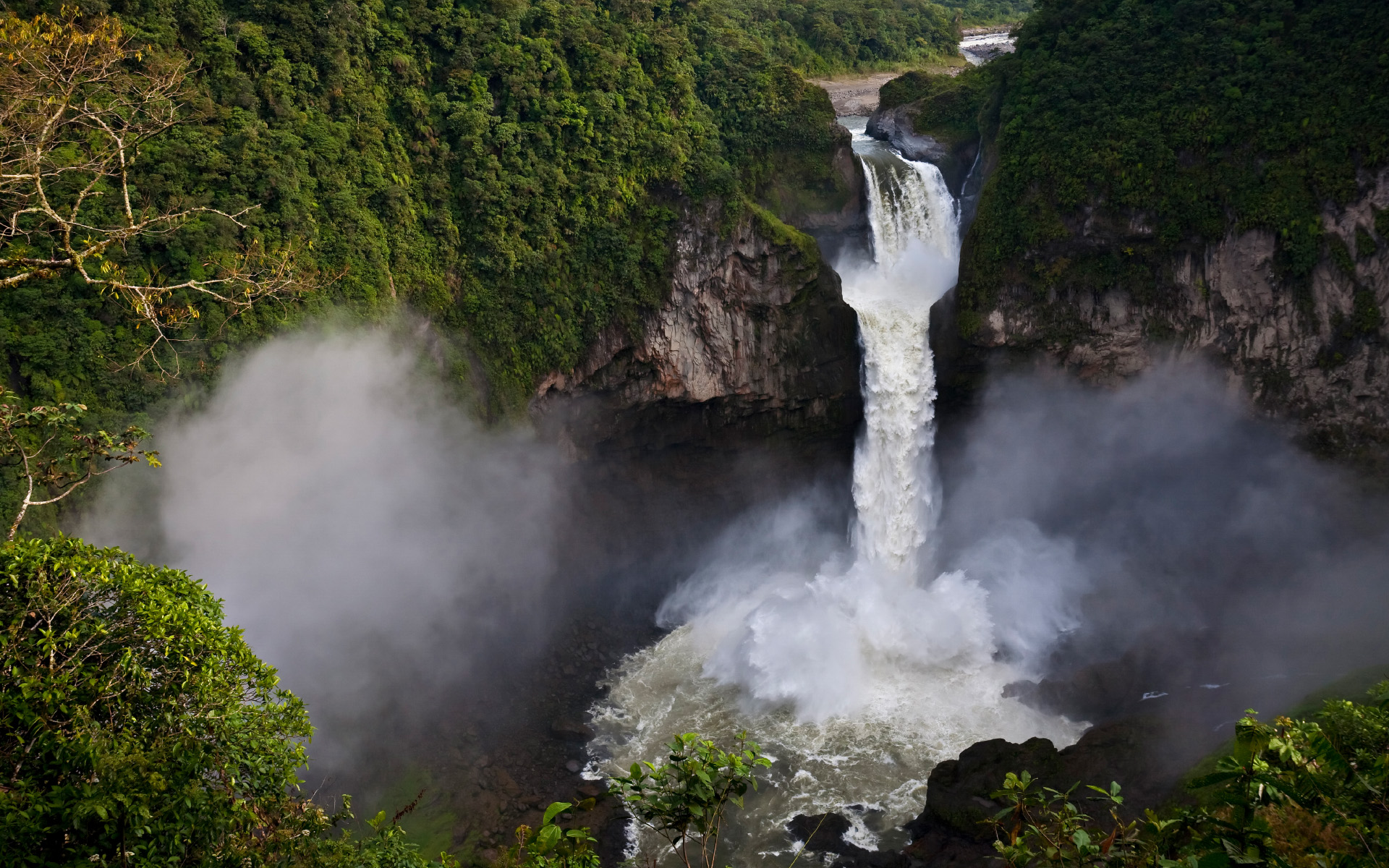 Amazon Rainforest Windows 10 Theme | Free Wallpaper Themes