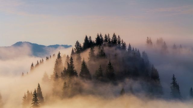 Fog shrouds the Bavarian Alps in Germany