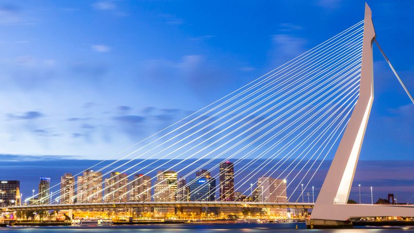A plucky city's huge 'harp'