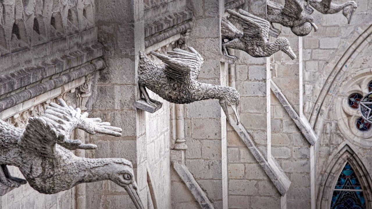 Grotesques of native Ecuadorian seabirds on the Basílica del Voto Nacional in Quito, Ecuador