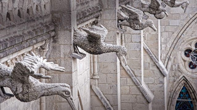 Grotesques of native Ecuadorian seabirds on the Basílica del Voto Nacional in Quito, Ecuador