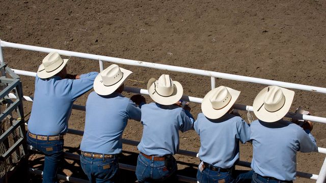 Spectators at the annual Calgary Stampede