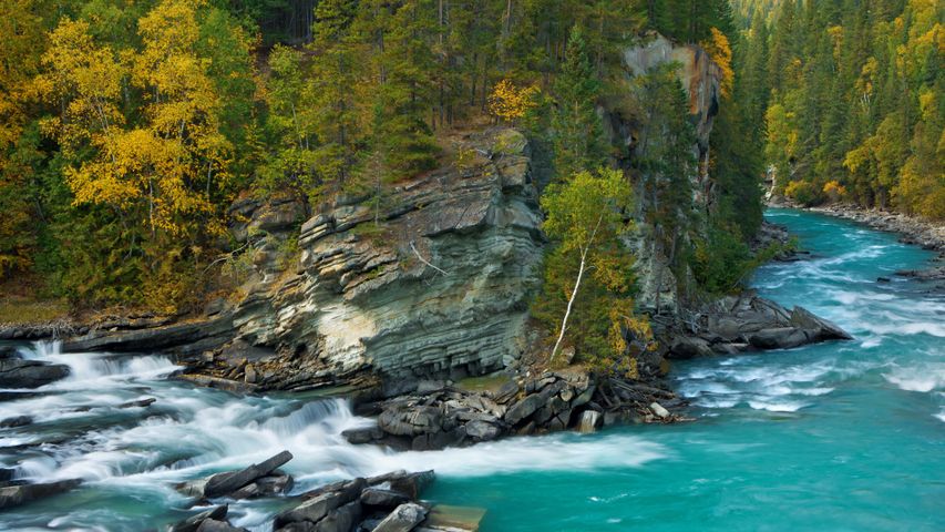 Last stop for salmon