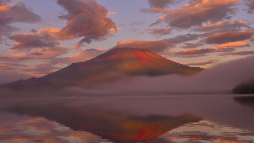 朝焼けに輝く富士山と山中湖, 山梨県