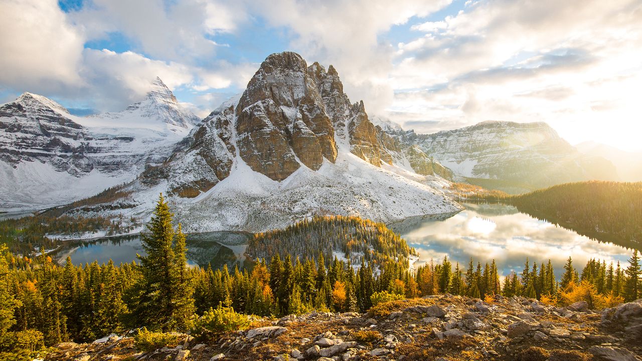 Fall foliage in Mount Assiniboine Provincial Park, British Columbia