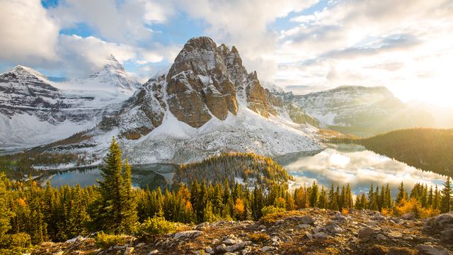 Fall foliage in Mount Assiniboine Provincial Park, British Columbia
