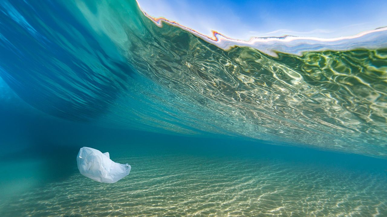A plastic bag hovers underneath a breaking wave at the beach