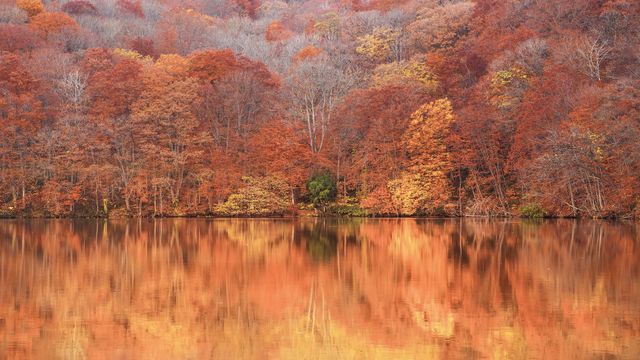 蔦沼, 青森県 十和田市