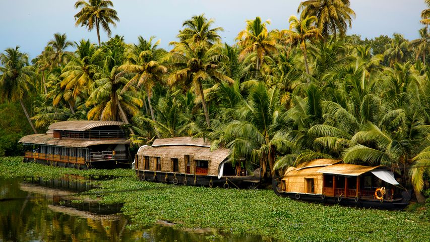 Houseboats on Vembanad lake, Kerala