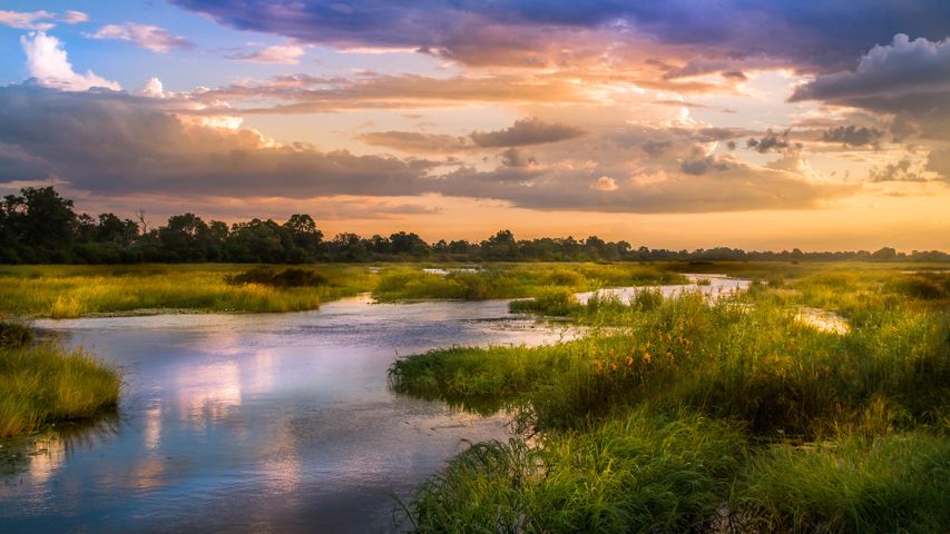 Okavango flow