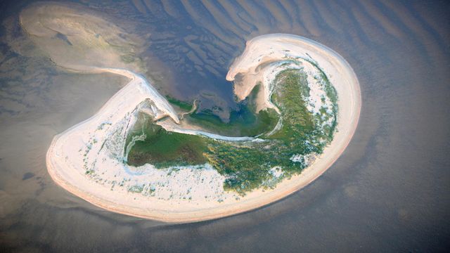 Insel Lütje Hörn im Wattenmeer, Nordsee, Niedersachsen, Deutschland