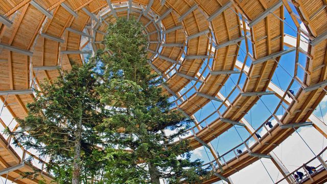 A treetop walkway in the Bavarian Forest National Park, Neuschönau, Germany