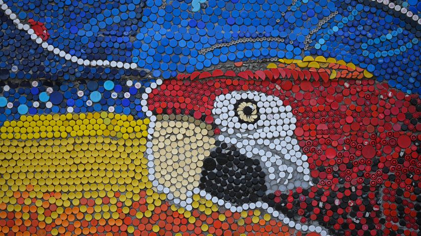 ペットボトルキャップのモザイク画, ベネズエラ