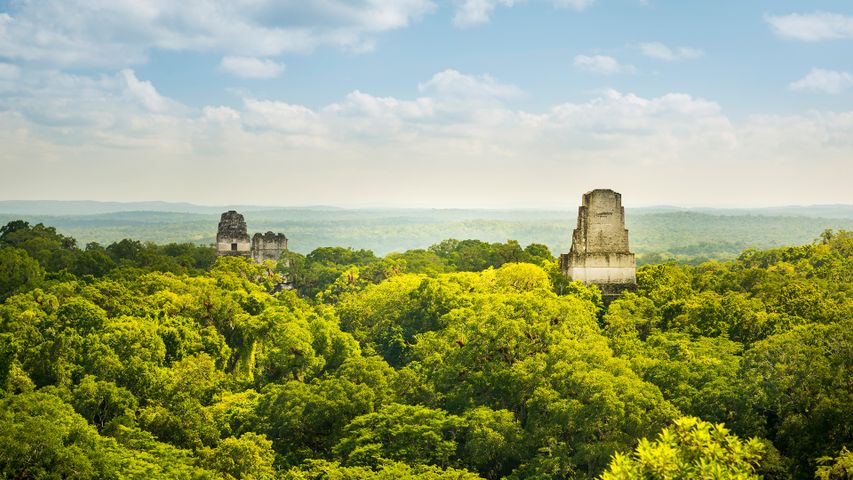 Rovine Maya nel Tikal, Guatemala