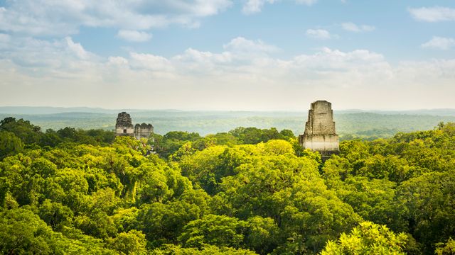 Maya-Ruinen in Tikal, Guatemala