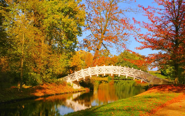 Bridges In Autumn Windows 10 Theme Free Wallpaper Themes 