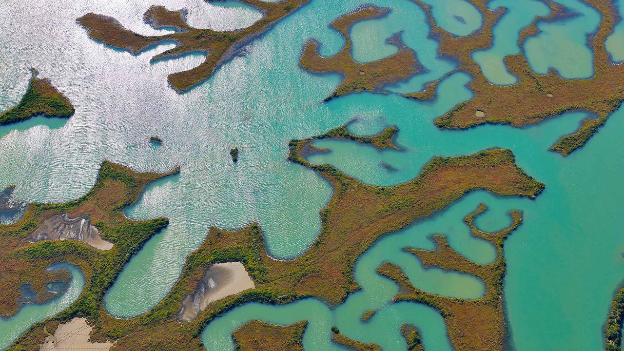 Vista aérea de los humedales del parque natural de la Bahía de Cádiz