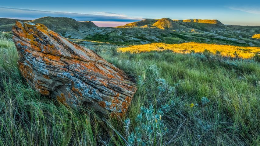 Grassland-Nationalpark, Saskatchewan, Kanada