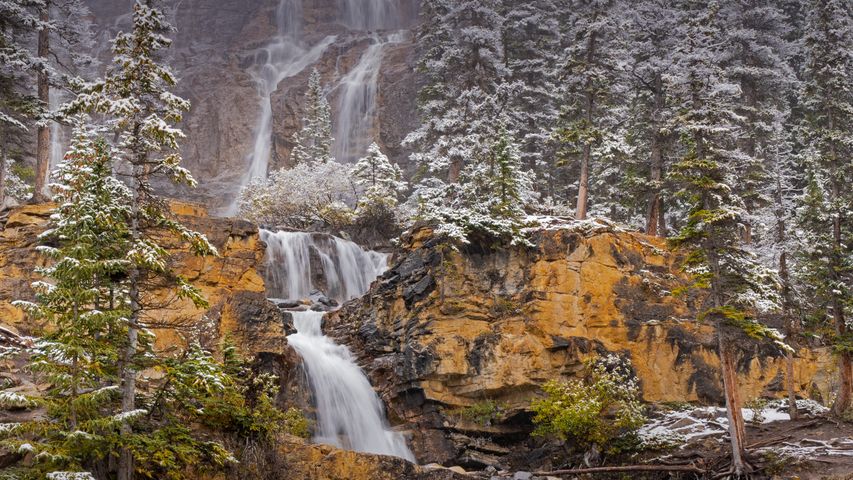 Tangle Creek Falls im Jasper-Nationalpark, Alberta, Kanada