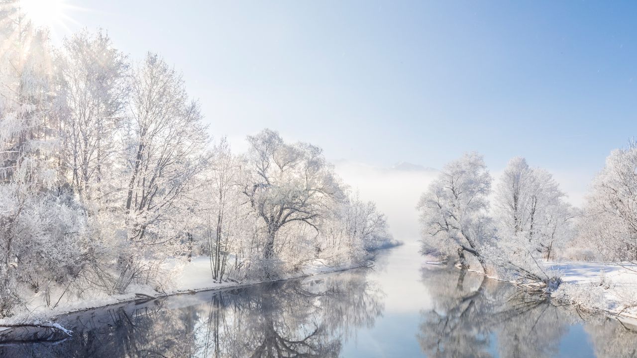 Frostbedeckte Bäume entlang des Flusses Loisach, Kochelsee, Bayern