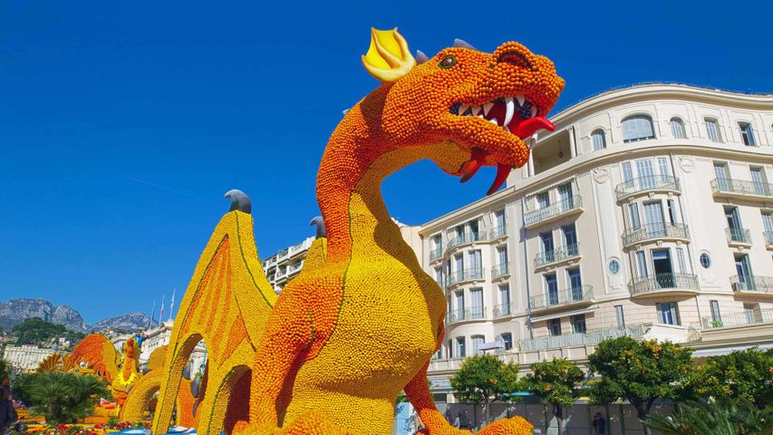 La fête du citron 2019 à Menton, France