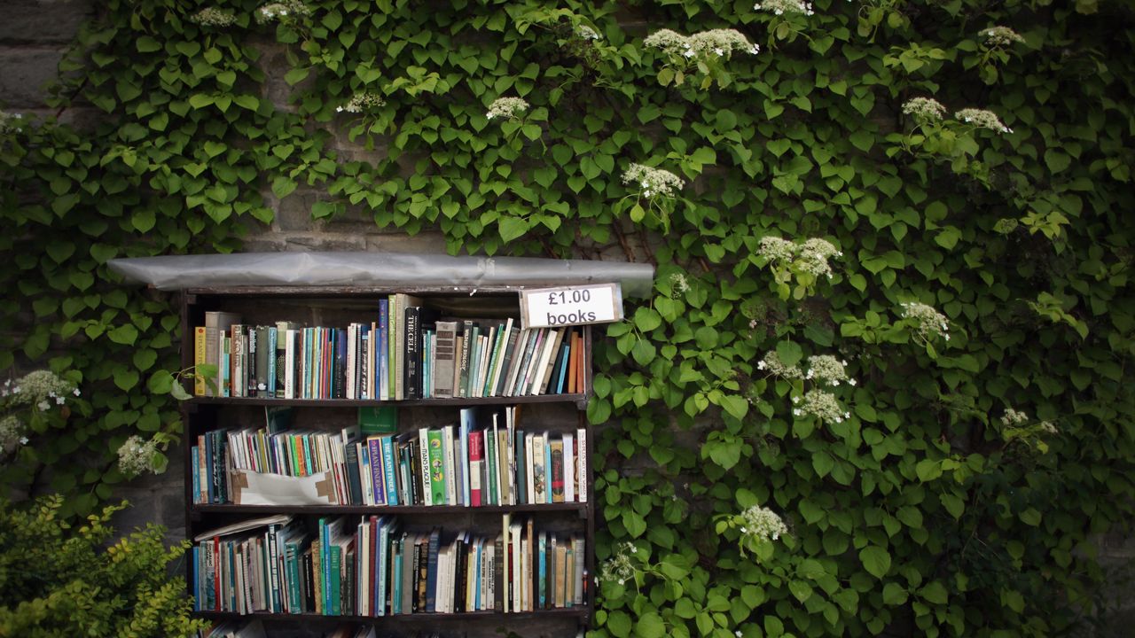 Second-hand books at the Hay Festival, Hay-on-Wye, Wales