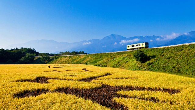 「秋の小海線」山梨県, 北杜市