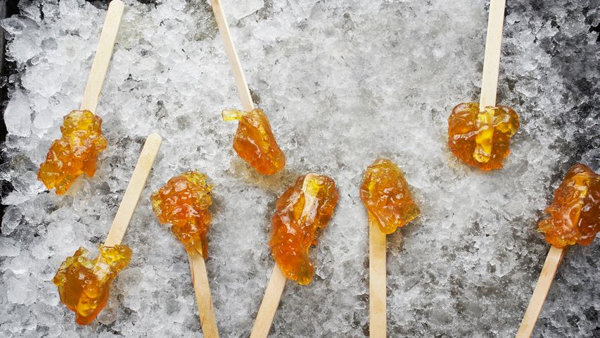 Hardened maple syrup on a wooden stick sitting on ice, Elmira, Ontario