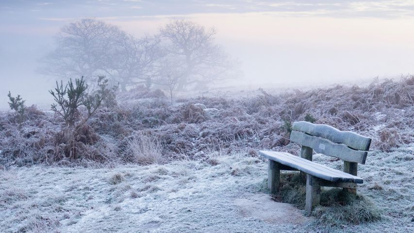 Ashdown Forest, East Sussex, England