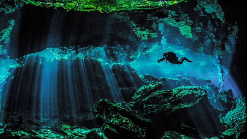 Ein Taucher erkundet die Unterwasserhöhlen (Cenoten) in der Nähe von Puerto Aventuras, Mexiko