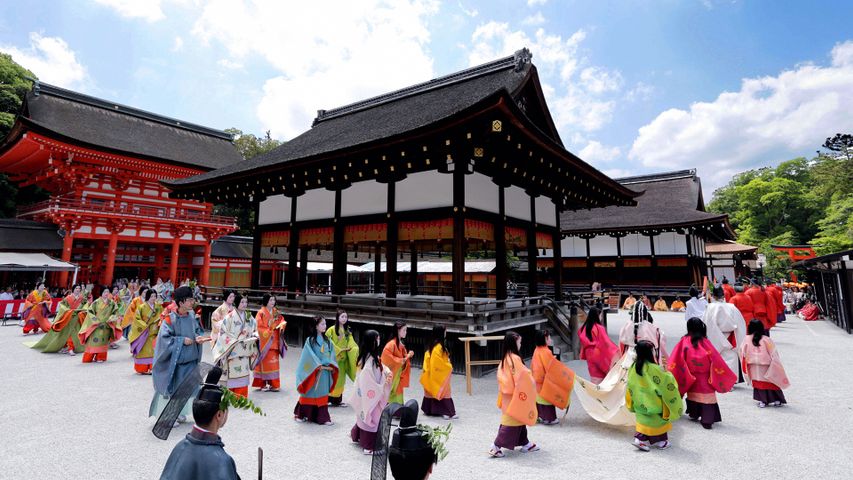 葵祭, 京都 下鴨神社